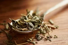White tea: Healthy and rejuvenating effect of the beauty booster