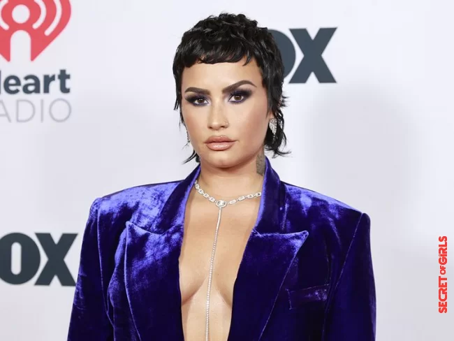 Hairstyle trend: Demi Lovato looks so chic with mullet | Hairstyle Trend: This Is What Demi Lovato Looks Like With Mullet