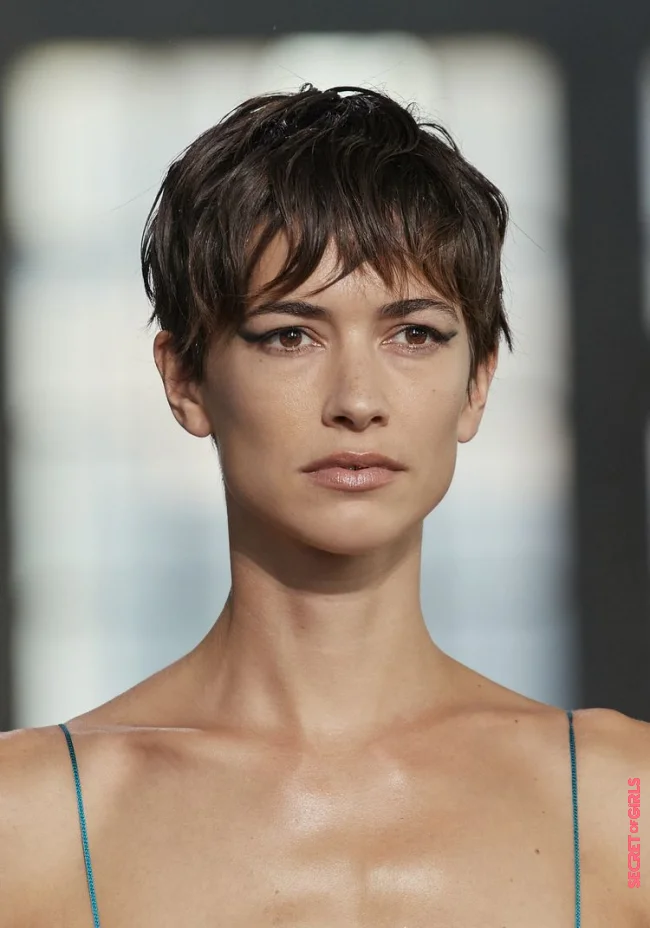 Mullet Meets Pixie: We Are Now Wearing Mixie! Hairstyle Trend In Winter 2022