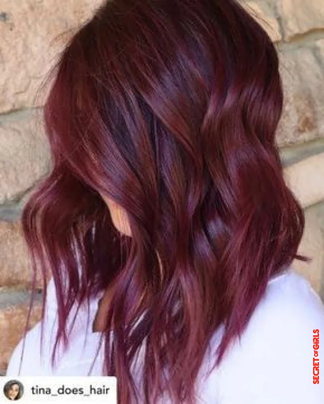 Vino Rojo | Hair Color Trend 2023: Want To Change Your Head? Here Are The Trendy Colors For This Winter!