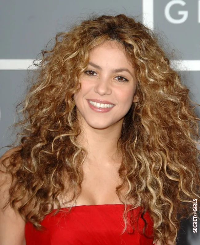 Natural Curly Hair: Which Hairstyles To Adopt? | Natural Curly Hair: Which Hairstyles To Adopt?