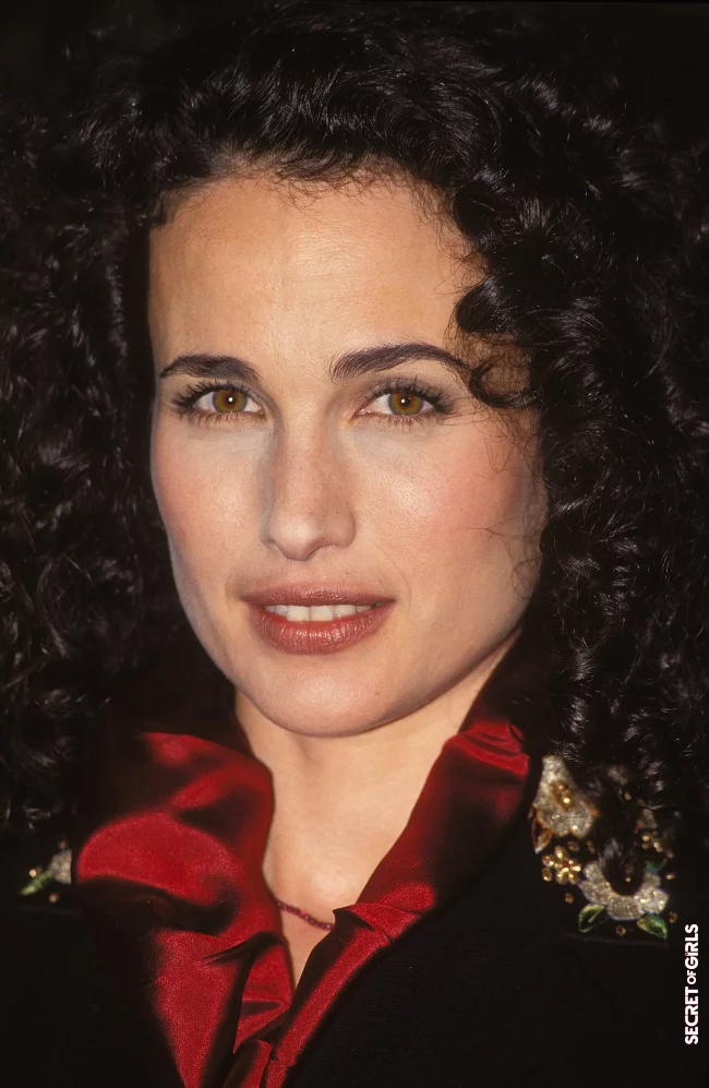1993 | Gray Hair: At 64, Andie MacDowell is A Silver Mane Goddess