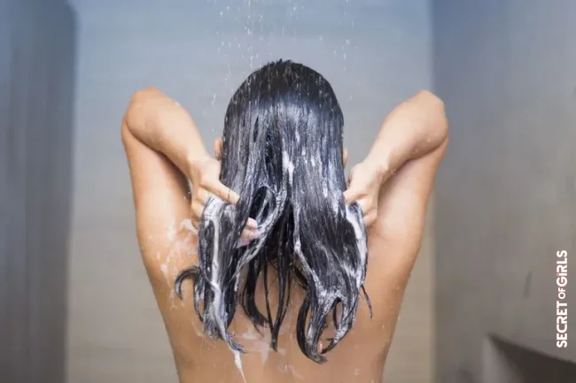 Oily hair: do not wash your hair too often | Oily Hair: How To Find Healthy And Light Hair?