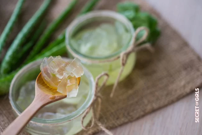 Using aloe vera | Dandruff: Our Best Tips To Get Rid Of It And Never Come Back!