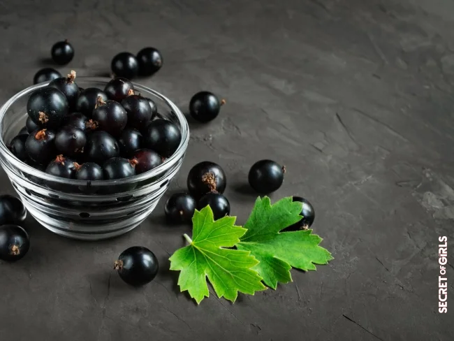 Blueberries, blackberries, and black currants | Nutrition Tip: Top 7 Best Anti-Aging Foods