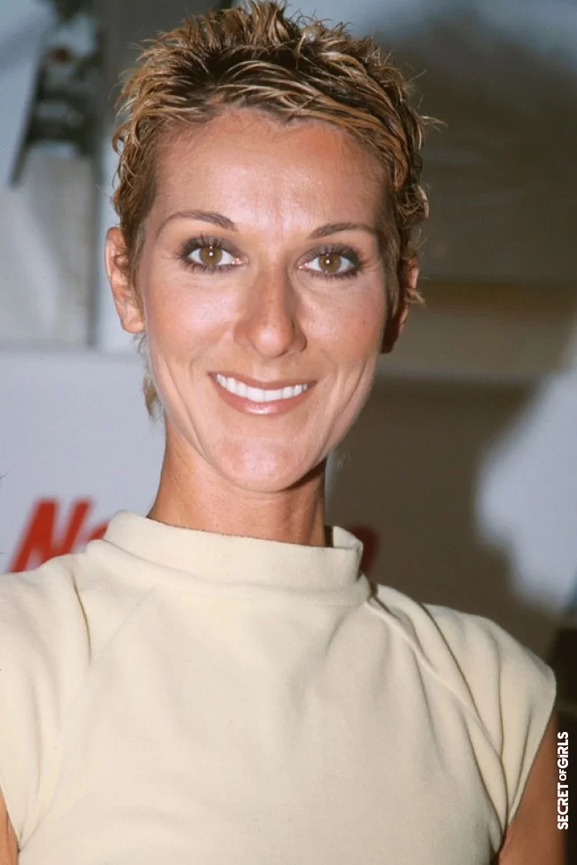 C&eacute;line Dion | Worst Celebrity Hairstyles of All Time