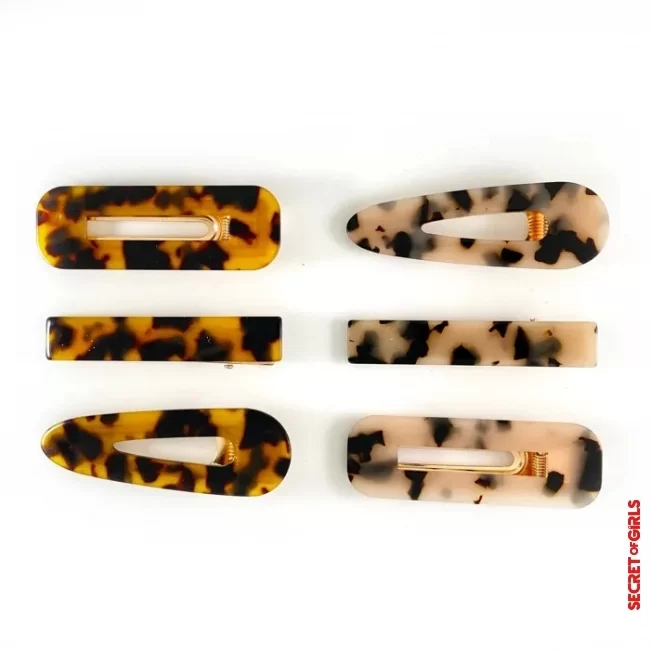 2 - Resin hair clips | 8 ultra-trendy hair accessories to have in your collection
