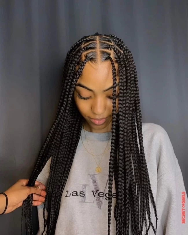 1- Braids, a very trendy protective hairstyle | Protective hairstyles: 13 ideal hairstyles