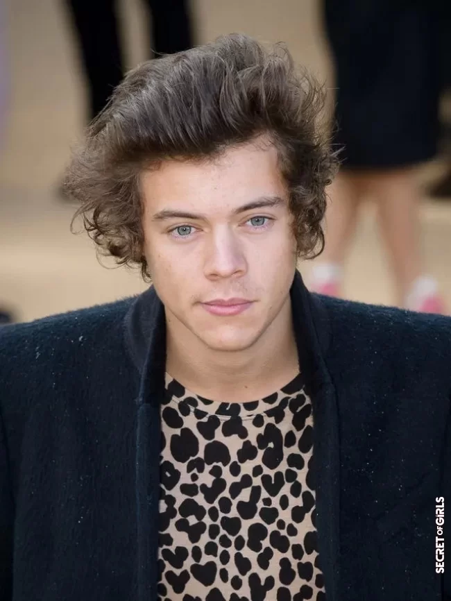 Harry Styles | Failed hairstyles of the stars