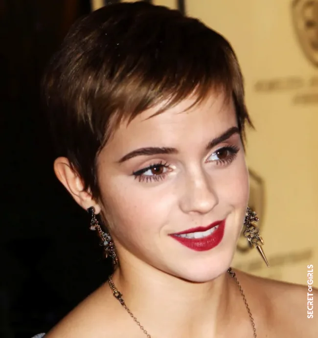 The gar&ccedil;on cut is trendy | Short Hairstyles 2022: These Haircuts For Short Hair Are Dominating This Year!