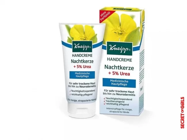 Kneipp hand cream evening primrose with 5 percent urea | Hand cream: These are the best hand creams from the drugstore