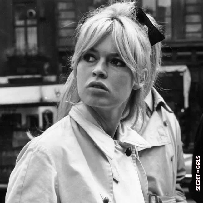 Brigitte Bardot hairstyle | Vintage Hairstyles: 12 Most Beautiful Ideas For Styling