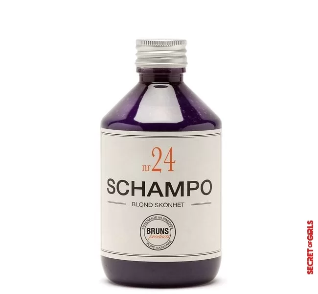 5. The `No. 24 Shampoo` from Bruns for fine, blonde hair | Color shampoos: The top products for colored hair
