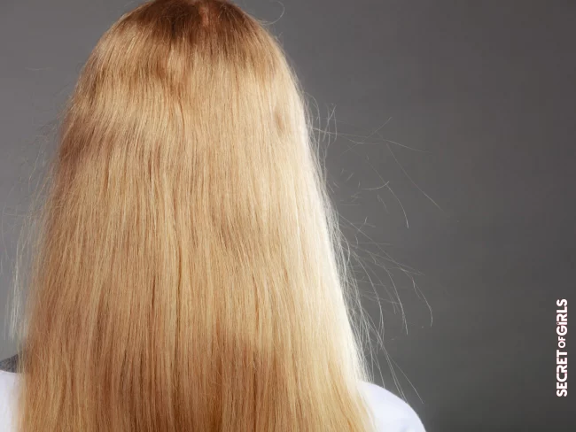 Electrified Hair: 10 Helpful Tips