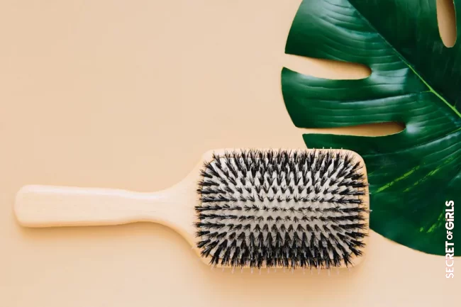 Cleaning the hairbrush: With these tips, you can get your brush clean again | Cleaning the hairbrush: These tips will keep the brush clean