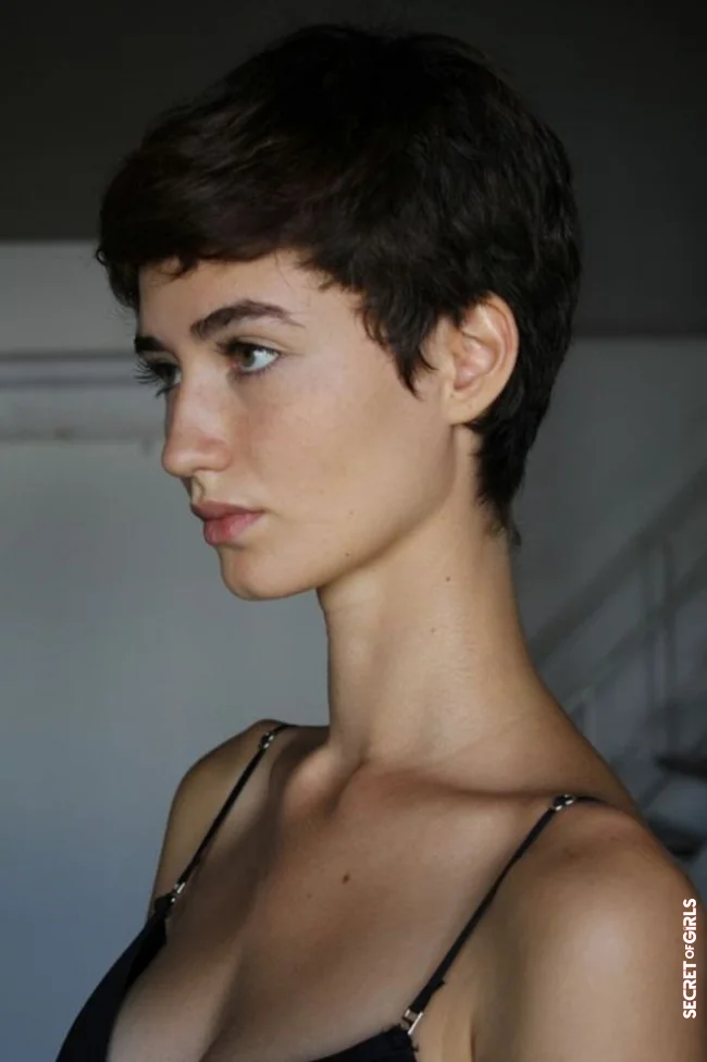 Boyish cut on straight hair | Thick And Voluminous Hair: 30 Short Cuts To Sublimate Them