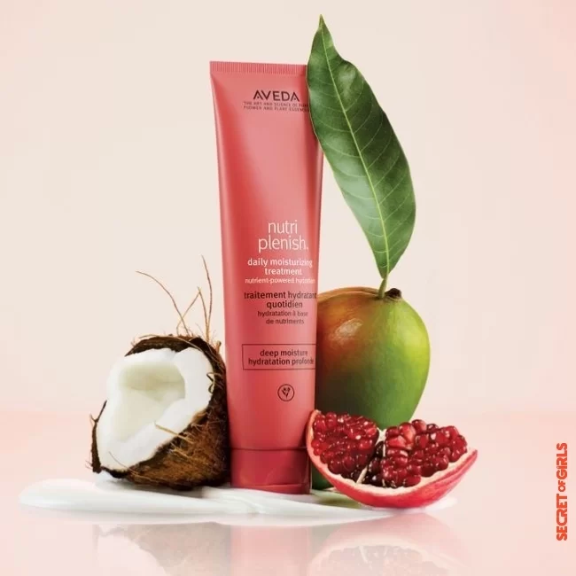 Nutriplenish Aveda Daily Moisturizer | Damaged hair: 3 effective and natural hair creams to resuscitate them