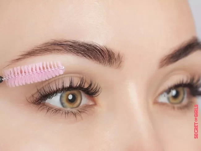 Eyebrows: These are the mistakes to avoid when styling | Tips for beautiful eyebrows: These 3 mistakes should be avoided when styling