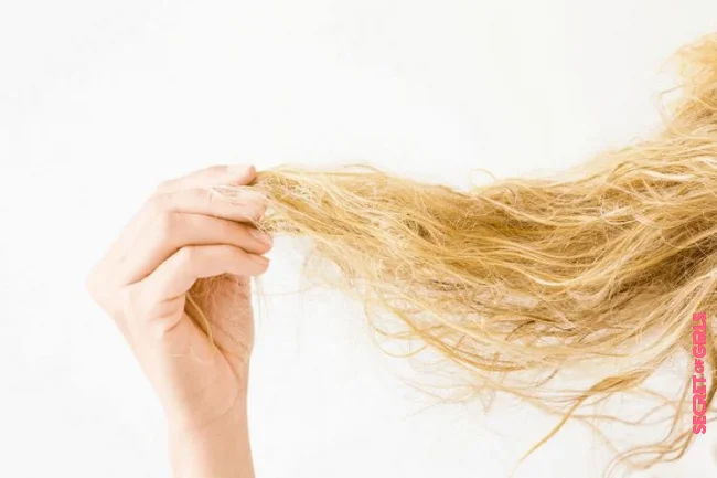 Why does the hair tangle? | Untangle Matted Hair: What To Do To Gently Loosen Knotted Strands and Avoid Knots in The Hair?