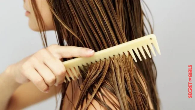 What to do about matted hair after washing? | Untangle Matted Hair: What To Do To Gently Loosen Knotted Strands and Avoid Knots in The Hair?