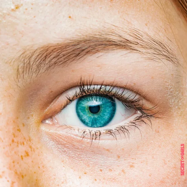 Eye Irritation: Euphrasia - When The Eyes Need Comfort