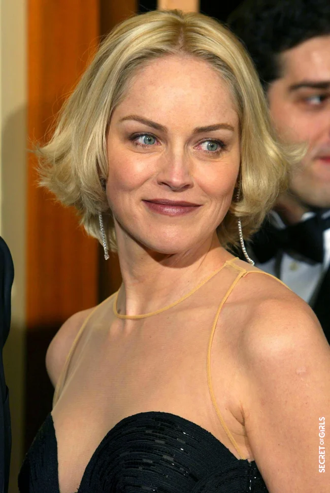 Sharon Stone in 2002 | Sharon Stone's Hair Evolution From The 90s To The Present