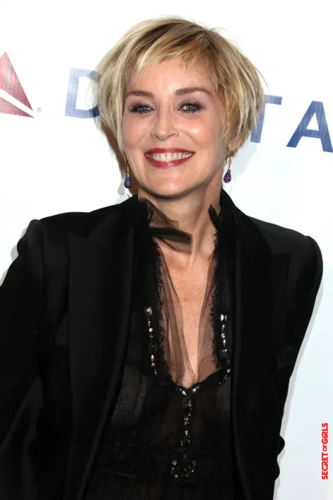 Sharon Stone in 2014 | Sharon Stone's Hair Evolution From The 90s To The Present