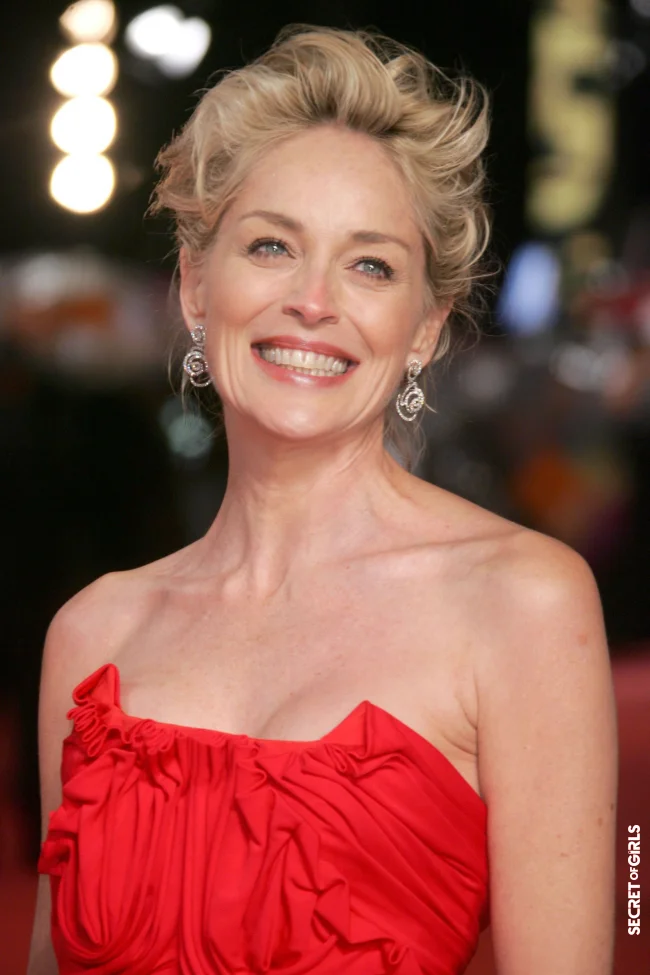Sharon Stone in 2009 | Sharon Stone's Hair Evolution From The 90s To The Present