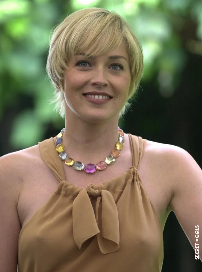 Sharon Stone in 2000 | Sharon Stone's Hair Evolution From The 90s To The Present