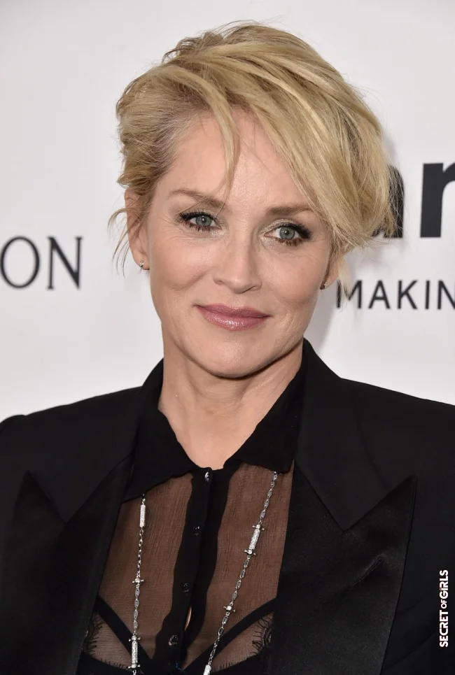 Sharon Stone in 2015 | Sharon Stone's Hair Evolution From The 90s To The Present