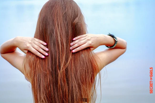 Cut your tips regularly | Make Your Hair Grow Faster: 6 Pro Tips That Really Work!