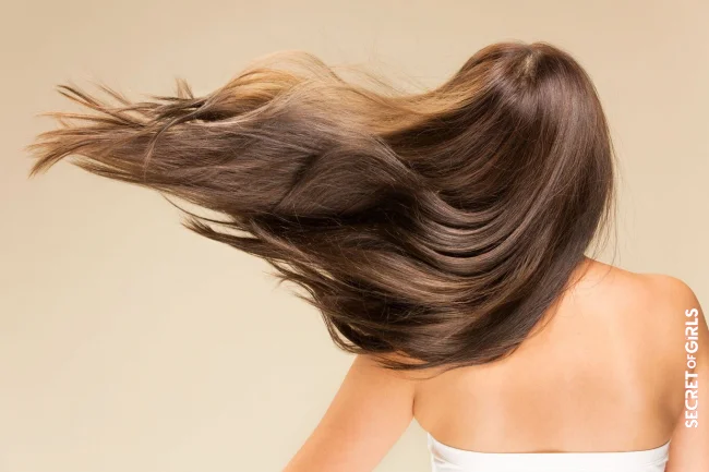 Brush your hair regularly | Make Your Hair Grow Faster: 6 Pro Tips That Really Work!