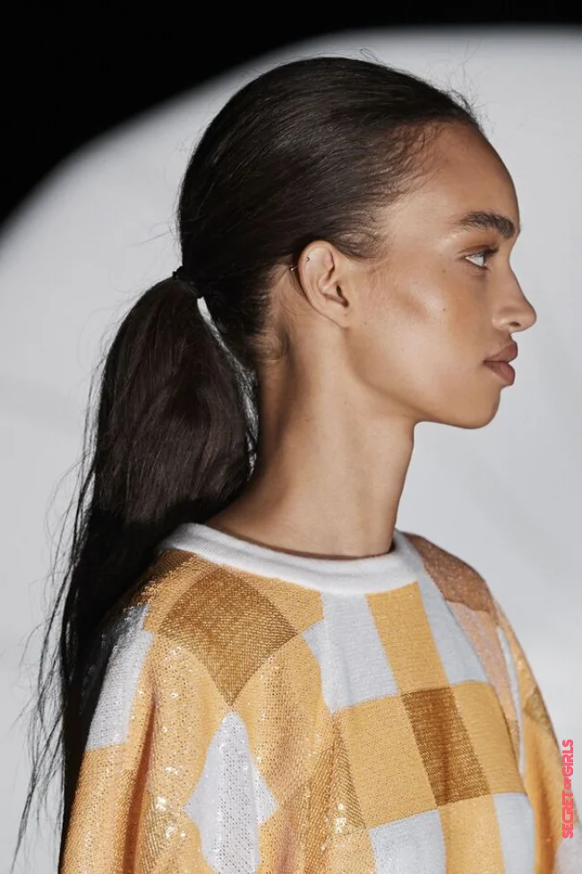 Sober ponytail | Hair Trend Of 2023? No More Combing Your Hair. Never.