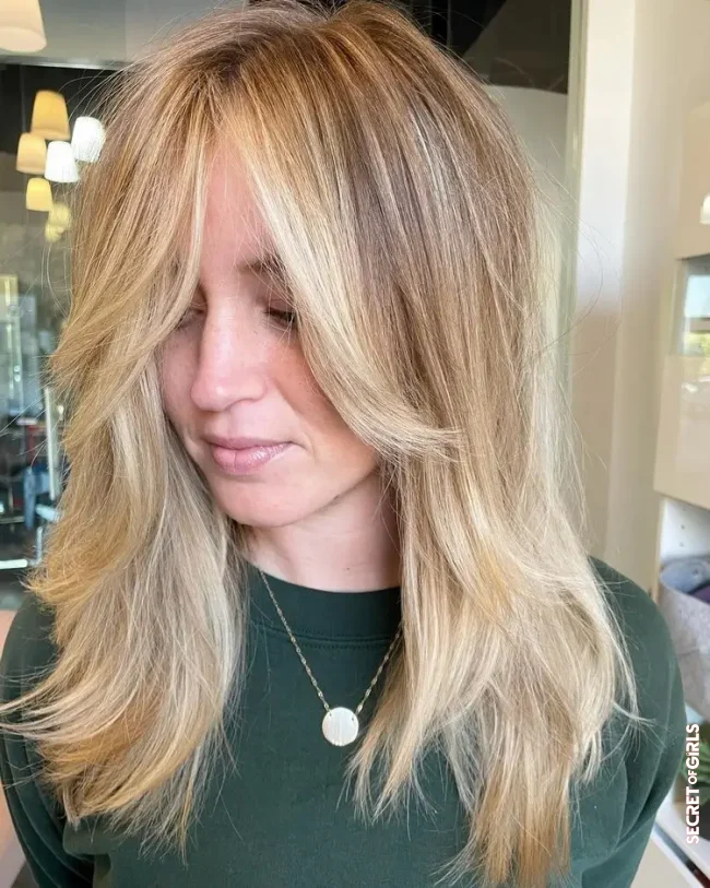 Butterfly Haircut and Highlights: is that possible? | Butterfly Haircut: The Step Cut Is The Trend Hairstyle Of The Year For Women With Medium And Long Hair