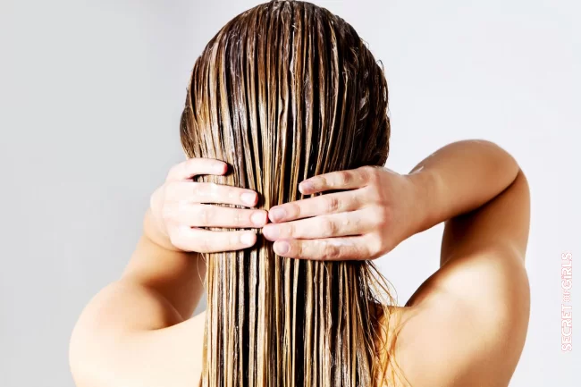This causes more breakage | How Often Should I Wash My Hair?