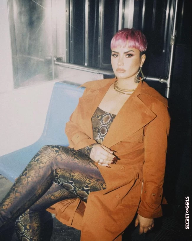 Demi Lovato shows up with even shorter hair | Demi Lovato: Pixie Cuts and Baby Bangs are Back