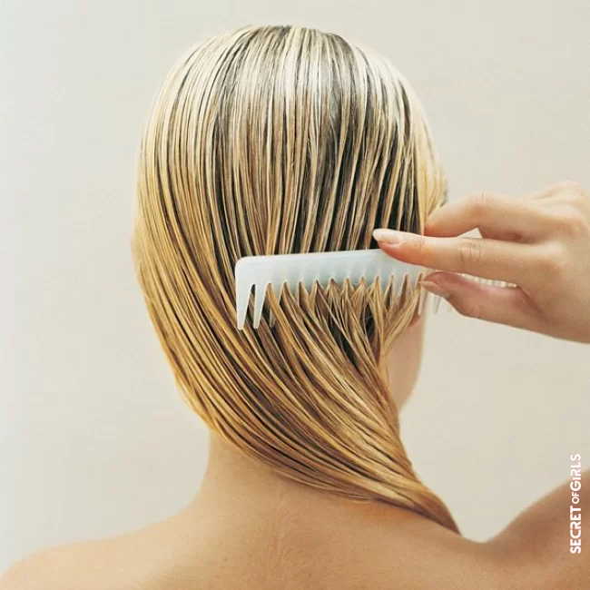 Avoid using a brush on wet hair | 40 Tips To Take Care Of Your Hair