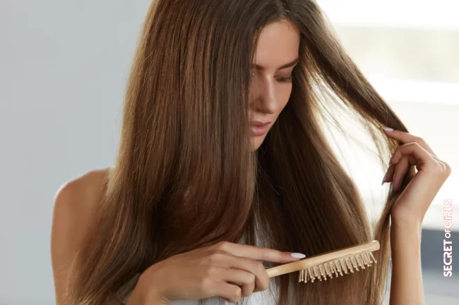 Hair Tip: How to choose the right hairbrush? | Hairbrush: How to Choose It According to Your Hair?