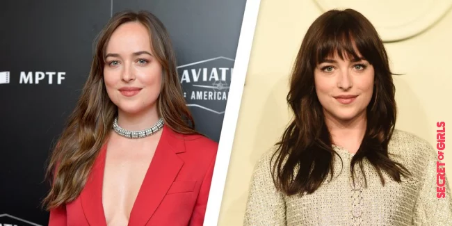 Dakota Johnson with and without bangs | These Stars Look So Different With and Without Bangs!