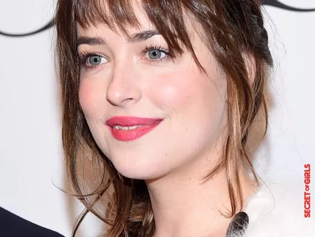 Dakota Johnson | Braided hairstyles: These are the most beautiful looks of the stars