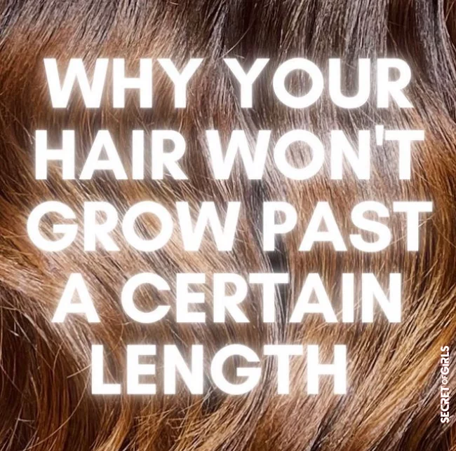 5 hairdresser tips to have the longest hair possible | After A Certain Length, Your Hair Stops Growing and Here's Why