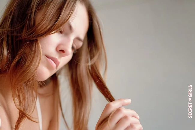After A Certain Length, Your Hair Stops Growing and Here's Why