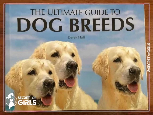 #51 This Book Uses The Same Dog Copy And Pasted 3 Times | 83 Photoshop Fails That Are So Horrible It’s Hard To Believe They Were Missed
