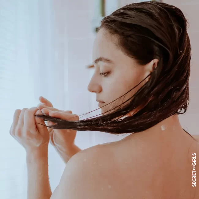 How to use argan oil against split ends and brittle ends? | Argan oil for the hair: This is how it provides shine and suppleness