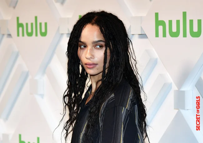 May 2019 | Zoë Kravitz Is 33 Years Old And We Are Celebrating Her Most Beautiful Hairstyles