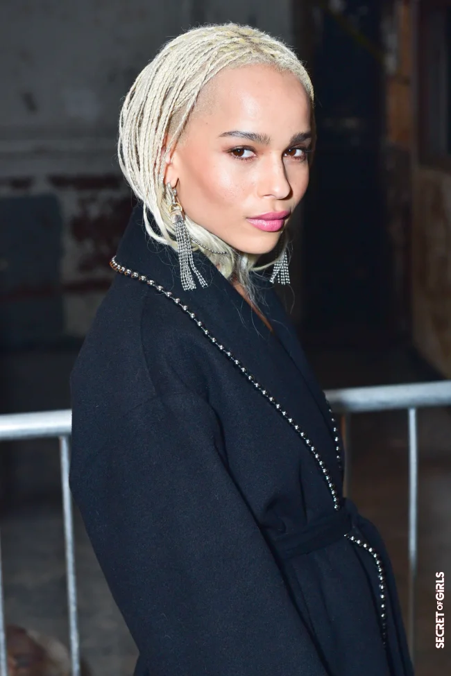 February 2017 | Zoë Kravitz Is 33 Years Old And We Are Celebrating Her Most Beautiful Hairstyles
