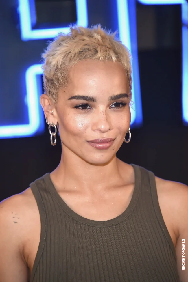 June 2017 | Zoë Kravitz Is 33 Years Old And We Are Celebrating Her Most Beautiful Hairstyles