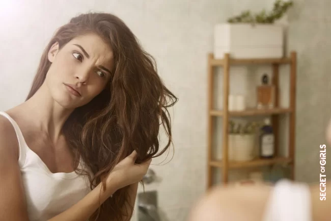 Dry hair | Hair Tips: How To Know If They Are Really Damaged?