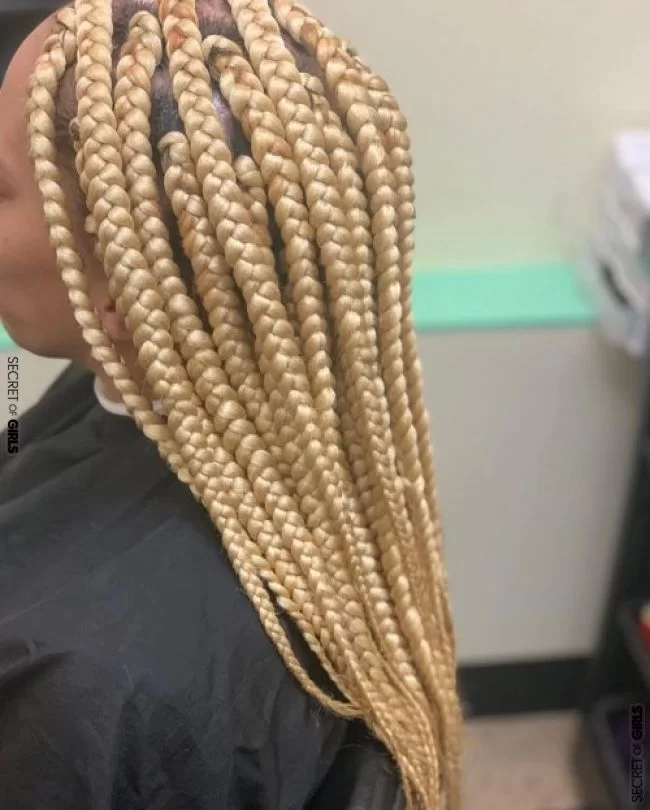 15 Blonde Box Braids That are Straight Fire