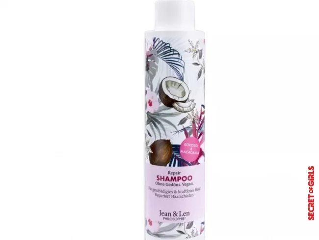 Vegan shampoo with a heavenly coconut scent | Under 10 Euros: 6 best shampoos from the drugstore